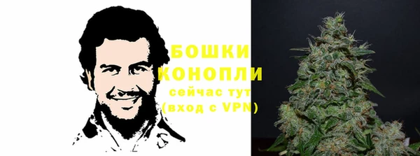 2c-b Белокуриха