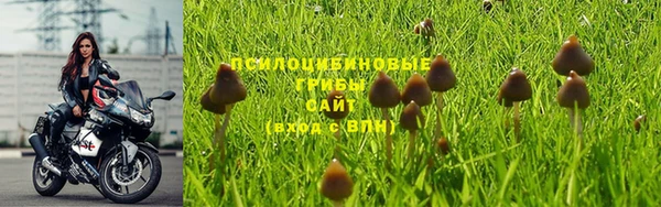 прущая мука Струнино